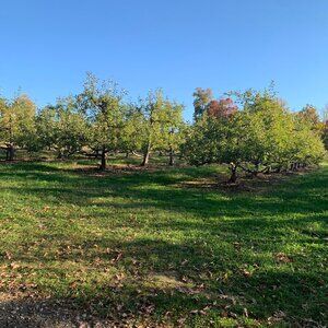 Meet your Posher, Jansen